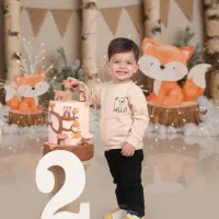 آغوشی و کریر ساک وسایل کودک|اسباب و اثاث بچه|بیرجند, |دیوار