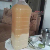 ۱۱۰۰ کیلو آبلیموی دستچین|خوردنی و آشامیدنی|تهران, فلسطین (میدان انقلاب)|دیوار