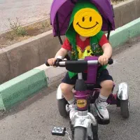 سه چرخه فلامینگو