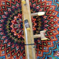 سه تار خوشصدا و حرفه ای