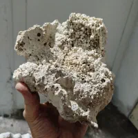 صخره آکواریوم