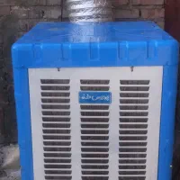 کولرابی نوع نوع