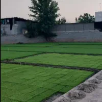 تیم نشا سبدی رایگان