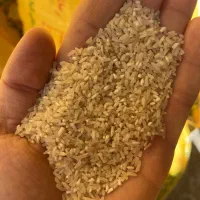 سرلاشه فجر درجه یک و عطری