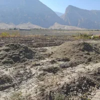 کاه لوبیا|لوازم جانبی حیوانات|دره شهر, |دیوار