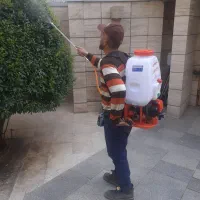 باغبانی سمپاشی گل آپارتمانی گلکاری هرس کردن