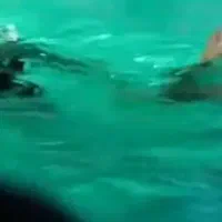 ماهی قزل آلا