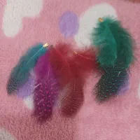 تعدادی پر زینتی