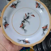 ظروف چینی گل کاجی