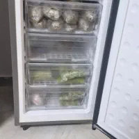 فروش بخچال فریزر اسنوا ۸۱۰|یخچال و فریزر|تنکابن, |دیوار