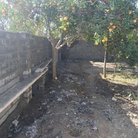 فروش زمین ۲۵۰ متری/ دور کاملآ دیوار کشی شده/ شمال/|فروش زمین و ملک کلنگی|بابل, |دیوار