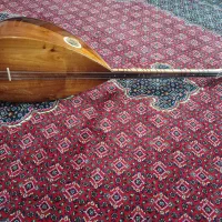 باغلاما دستە کوتاه