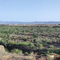 باغ پسته همراه با دوساعت آب شیرین