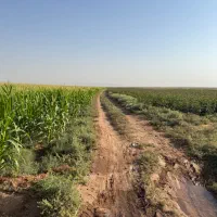عکاسی حرفه‌ای درهرسبک کیفیت بالا و قیمت مناسب