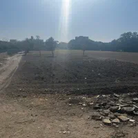 ۲۵۶/۵ زمین بهر اصلی کمربندی محمدشهر|فروش زمین و ملک کلنگی|محمدشهر, محمدشهر|دیوار