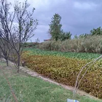 اجاره روزانه ویلای تفریحی کنار رودخانه، نزدیک دریا|اجارهٔ کوتاه‌مدت ویلا و باغ|کیاشهر, |دیوار