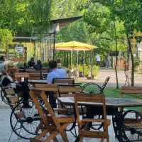 جواهری در مجموعه ای سرسبز|فروش خانه و ویلا|مهاجران, |دیوار