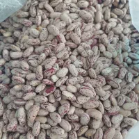 لوبیاچیتی درجه یک۳۸۰