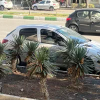 ۲۰۶مدل ۹۸ بیمه ۹ ماه