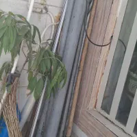 دار قالی و گلیم|ابزارآلات|شیراز, شهرک مهدی‌آباد|دیوار