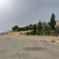 ۶۰۰۰ متر زمین ، بَر جاده کرمانشاه ـ سنندج ( چُنو )|فروش دفتر صنعتی، کشاورزی، تجاری|سنندج, |دیوار