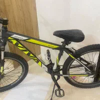 دوچرخه ویوا تنه تیتانیومی|دوچرخه، اسکیت، اسکوتر|قم, چهار امامزاده|دیوار