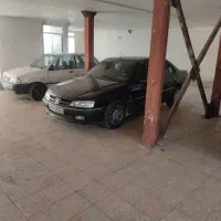 پارس مشکی جوان پسند