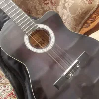 گیتار برند ولف|گیتار، بیس، امپلیفایر|سقز, |دیوار