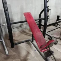 طرح تعویض و دستکاه های باشگاهی بدنسازی دست دوم|تجهیزات ورزشی|شیراز, شهرک صنعتی شیراز|دیوار