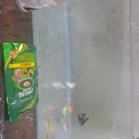 شیشه آکواریم بدون وسیله نو