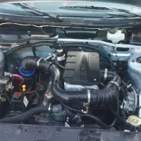 پژوروااردی فابریک