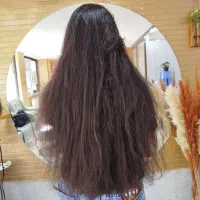 خدمات صافی و احیا