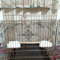 قفس پرنده