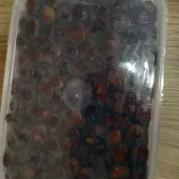 خرمای خاصویی
