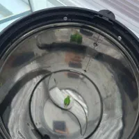 سبزی خرد  کن|خردکن، آسیاب، غذاساز|خرم‌آباد, |دیوار