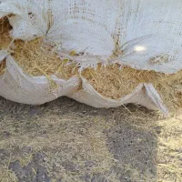 کاه درجه یک رسید|عمدهفروشی|زابل, |دیوار