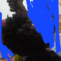 قلیان نعنا پرتقال