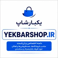 واگذاری دامنه وبسایت حرفه ای