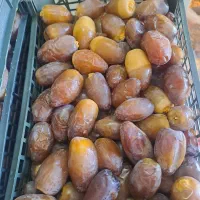 رطب خرما کبکاب تازه خشت سبدی|خوردنی و آشامیدنی|قم, باغ شریفی|دیوار