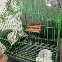 قفس پرنده|لوازم جانبی حیوانات|مراغه, |دیوار