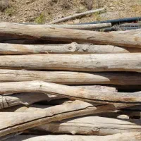 خرید و فروش چوب با بهترین قیمت|عمدهفروشی|شیراز, کیان آباد|دیوار