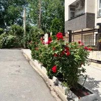 فروش واحد راه جدا جهت آرایشگاه یا مطب