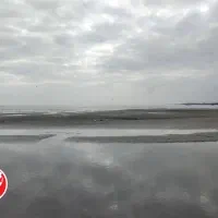 سرگرمی و شیراز گردی