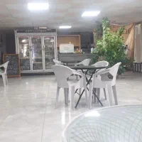 اجاره کافه|اجارهٔ مغازه و غرفه|شیراز, فلکه گاز|دیوار