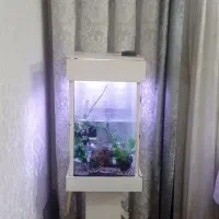 آکواریوم کامل با وسایل 2تومن|ماهی|قرچک, زیبا شهر|دیوار