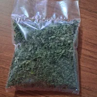 دمنوش گزنه ی کوهی ۱۰۰ گرمی