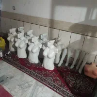 تعدادی مانکن ویترین گردون