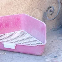 جای دستشویی خرگوش