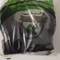 پوتین آقانژاد سایز ۴۱ نو