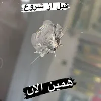 ترمیم ترک و سنگ خوردگی شیشه اتومبیل|خدمات موتور و ماشین|تهران, جی|دیوار